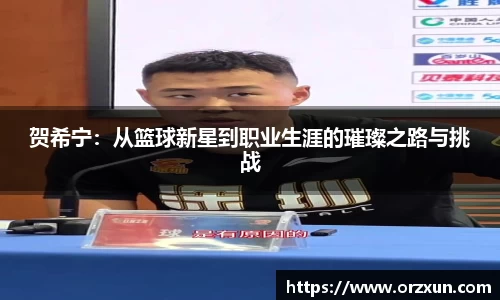 贺希宁：从篮球新星到职业生涯的璀璨之路与挑战